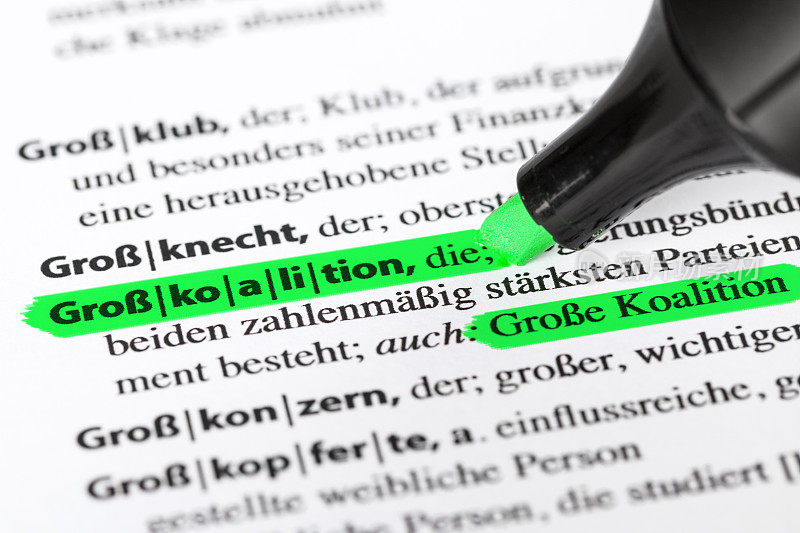 德语词典文本- Grosse Koalition